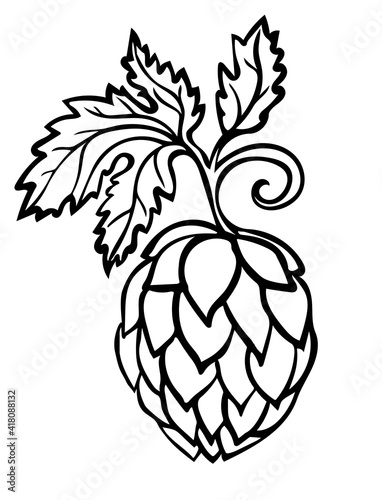 Hand drawn Beer Hop Cone minimalistic stylized line art. Common hop or Humulus lupulus with leaves.