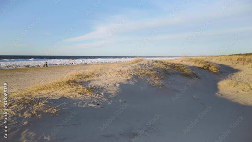Walk with animals on the sandy Baltic beach in early spring. Waves splash against the white ice on the shore. Sunny spring day in the dunes of Latvia Walk with animals on the sandy Baltic beach in early spring. Waves splash against the white ice on the shore. Sunny spring day in the dunes of Latvia