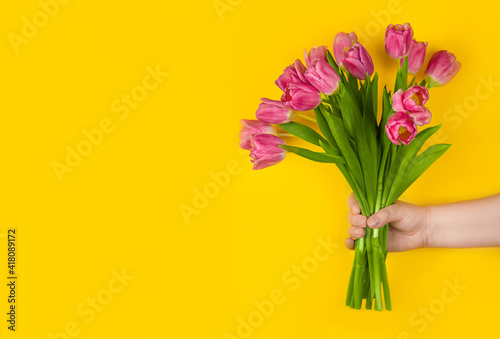 Pink tulips flowers in hand on a yellow background. Concept - congratulations on international women s day  birthday  just a pleasant surprise  spring flowers