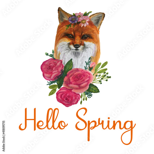 Cute cartoon fox with roses and quote Hello spring. Hand drawn illustration isolated