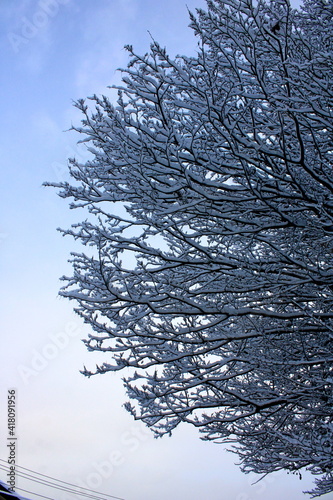 Rare weather for Epiphany in Adler.