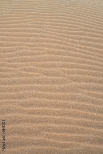 Fototapeta Naklejka Na Ścianę i Meble -  Waves created by the wind in the arid desert