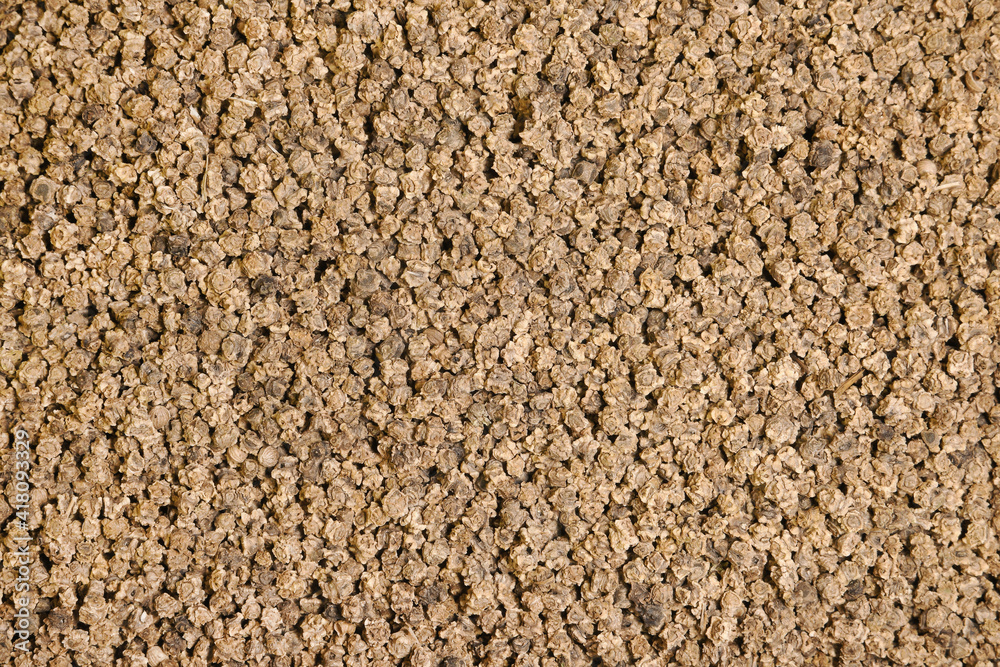 Beet seeds in abundance close-up. Collection, storage and preparation of seeds for planting. Organic background. Beet seeds in abundance close-up. Collection, storage and preparation of seeds for planting. Organic background.