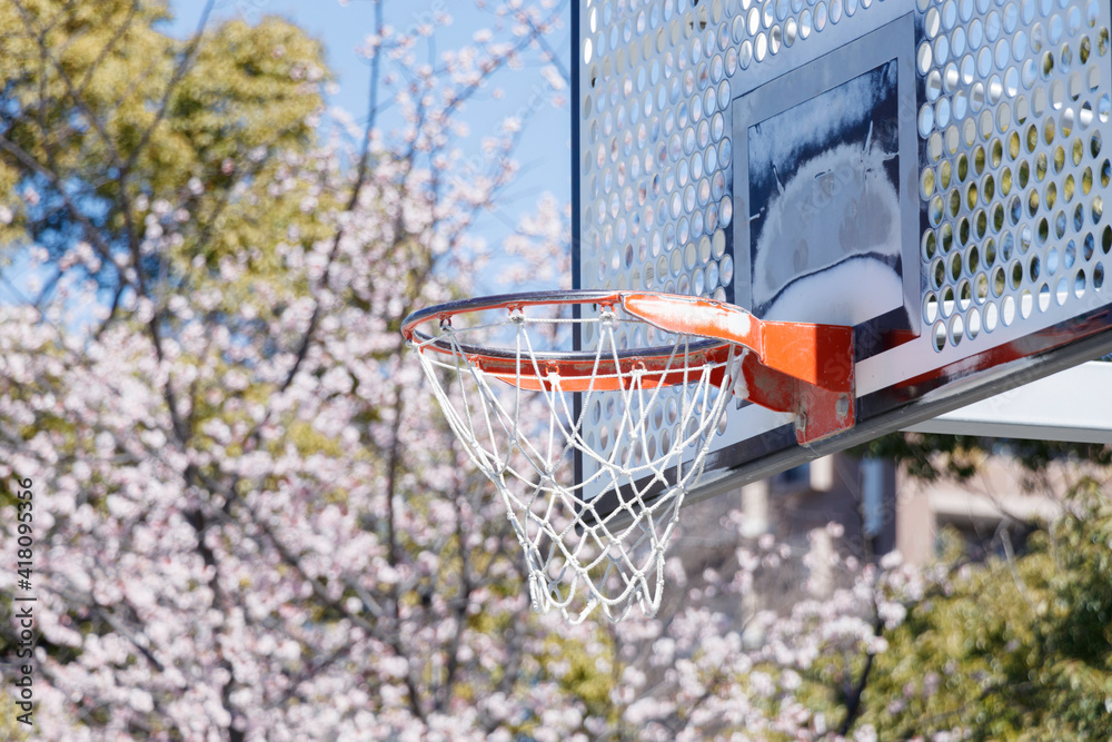 桜の花を背景にバスケットゴール