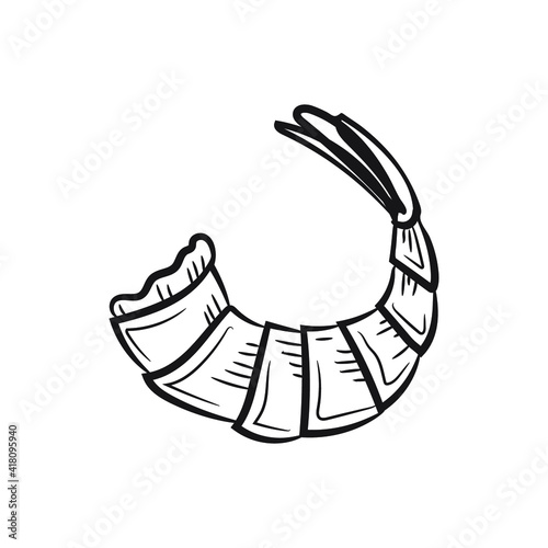 Cute hand drawn shrimp. Vector 