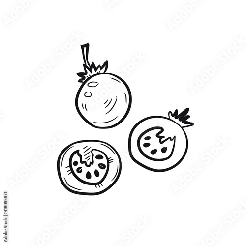 Cute hand drawn сherry tomatoes. Vector 