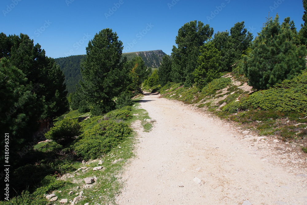 Fototapeta premium Raschötz, Resciesa häufig auch die Raschötz, weitgehend naturbelassene, jahrhundertealte Kulturlandschaft mit ausgedehnten Magerrasenweiden. Dolomiten, UNESCO-Weltkulturerbe.