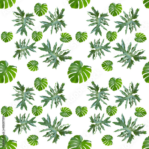 Seamless pattern, Bright green leaves on a white background.