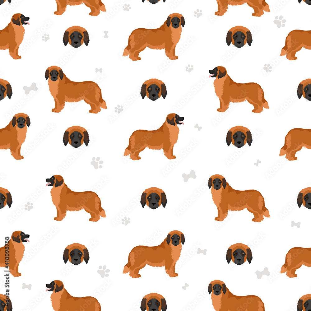 Leonberger seamless pattern. Different poses, coat colors set.