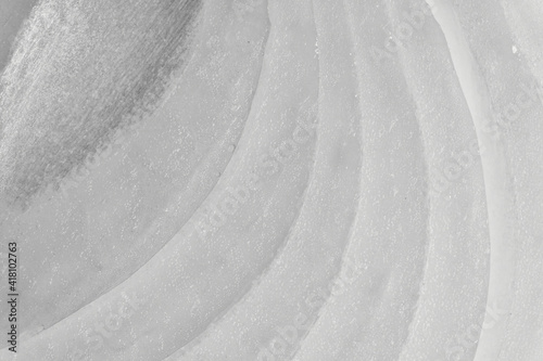 Background of black and white onion texture - high resolution