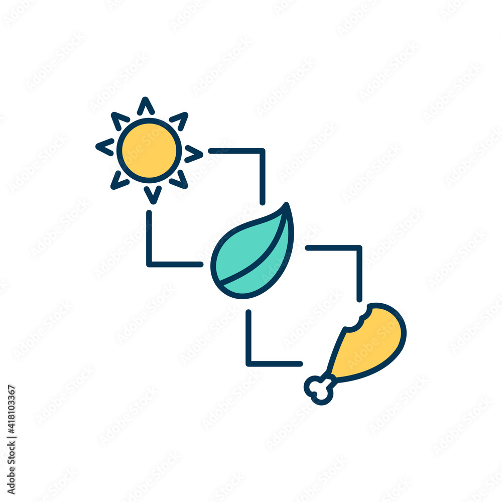 Food chain RGB color icon. Energy in food form transferring from organism to organism. Sustainable system. Events order in ecosystem. Living organisms connection. Isolated vector illustration
