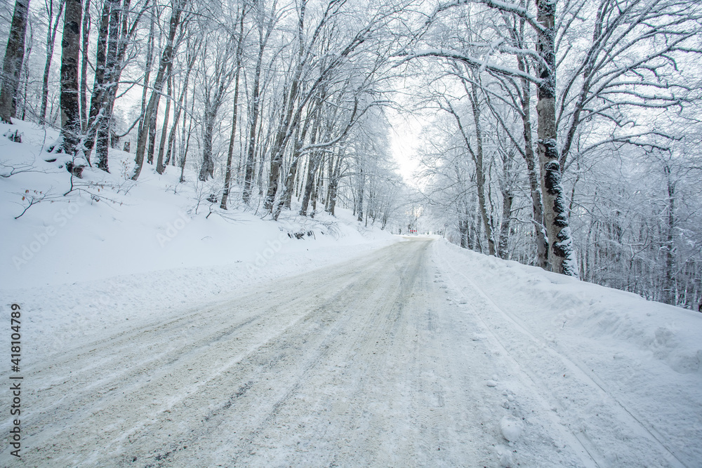 Obraz premium Road in Sabaduri forest with covered snow. Winter time