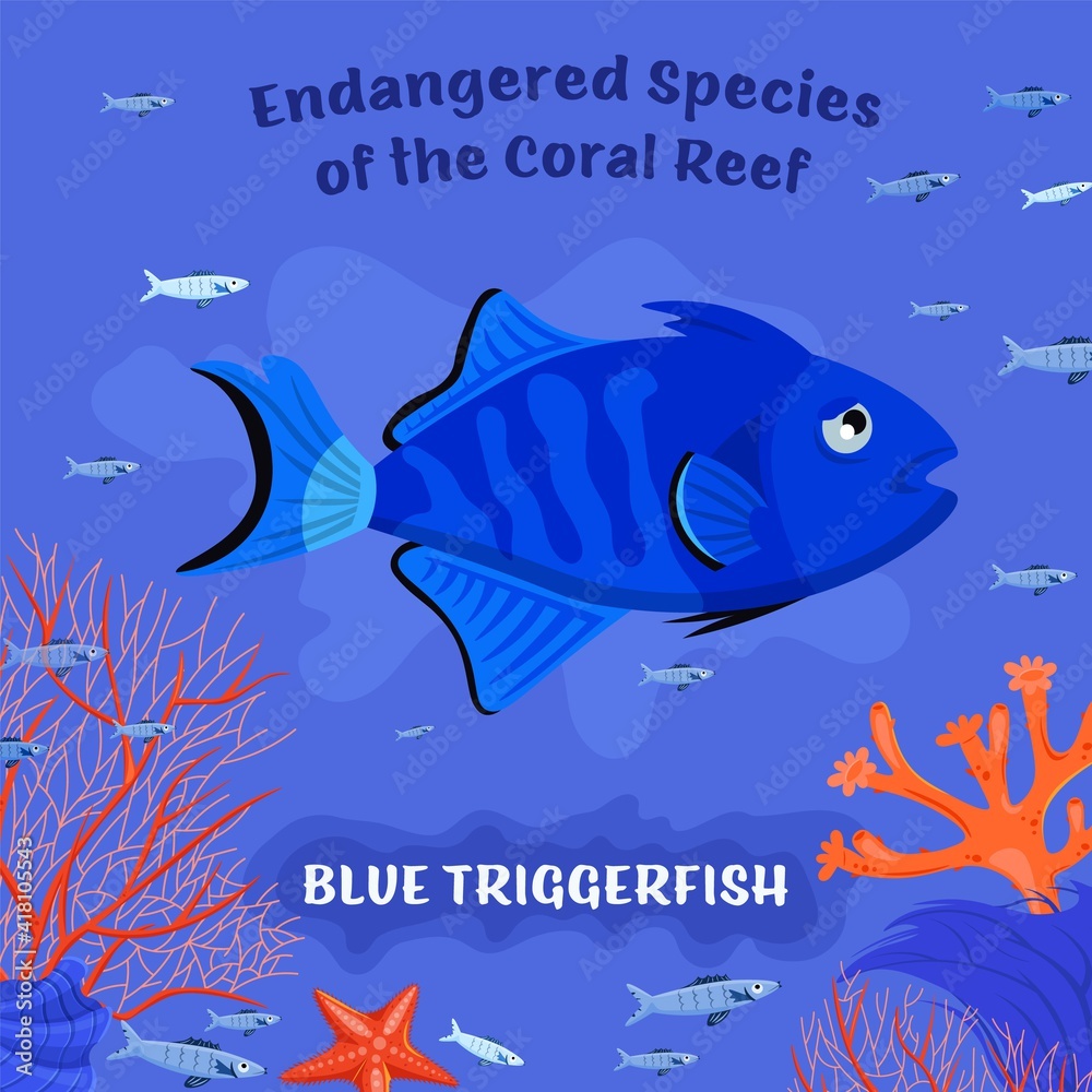 Endangered reef fish Endangered reef fish