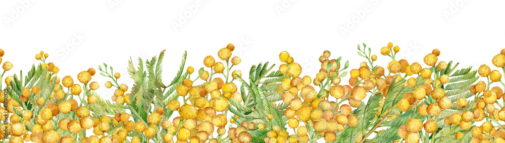 Seamless header with watercolor hand-drawn mimosa bush. Spring yellow floral border.