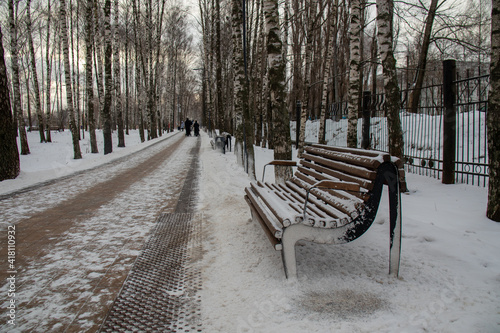 snow-covered park path