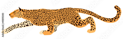 The African Leopard is sneaking. A yellow panther with black spots. Vector graphics