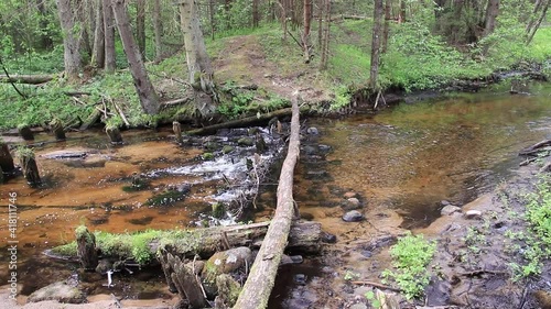 waterfall in the forest river 