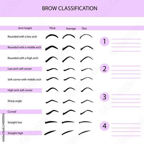 Eyebrow classification, eyebrow training materials, vector illustration, infographics