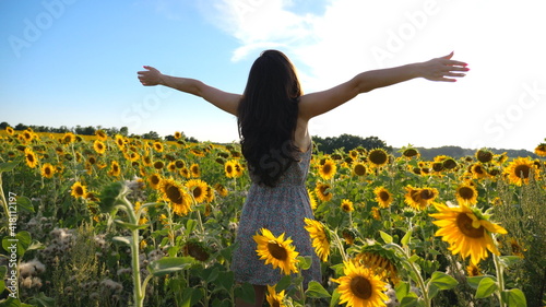Unrecognizable pretty girl standing among big field with blooming sunflowers and raising hands. Woman having relax or enjoying freedom at warm summer day. Scenic countryside landscape on background
