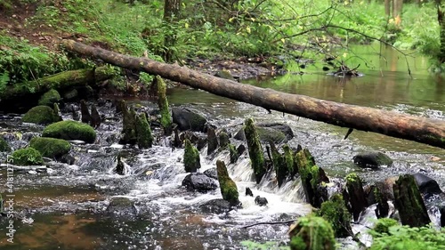waterfall in the forest river 