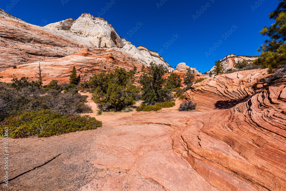 Zion National Park. Beautiful red and white sandstone mountain against blue sky. 