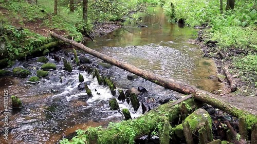 waterfall in the forest river 
