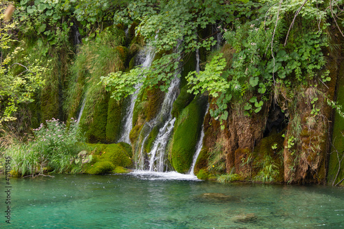 Fototapeta Naklejka Na Ścianę i Meble -  The Plitvice Lakes in Croatia (Europe)