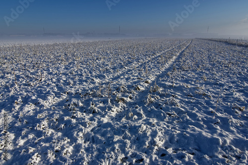 snow covered field