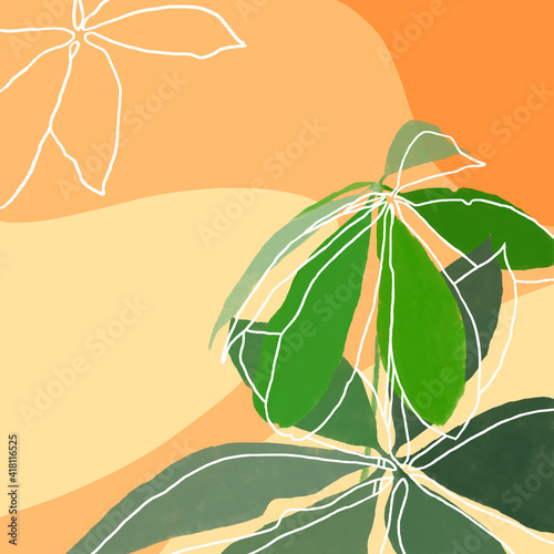 Simple background with the money tree plant