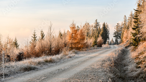 Fototapeta Naklejka Na Ścianę i Meble -  Hiking trail, trees and vegetation covered with frost.
