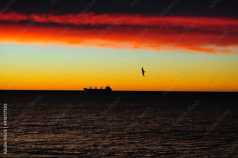 The heavy and the light: a ship and a bird on the South Atlantic coast, Puerto Madryn, Chubut, Patagonia, Argentina.

