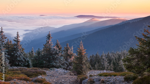 Fototapeta Naklejka Na Ścianę i Meble -  Fog in the mountain valley, view from the Snieznik peak at sunset.