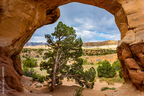 Devils Garden, Hole in the Rock Trail, Grand Staircase National Monument . red sandstone arch with tree