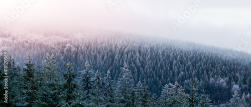 Fototapeta Naklejka Na Ścianę i Meble -  A view from the Orlica observation tower to the mountains with a snow-covered forest and an incoming fog.