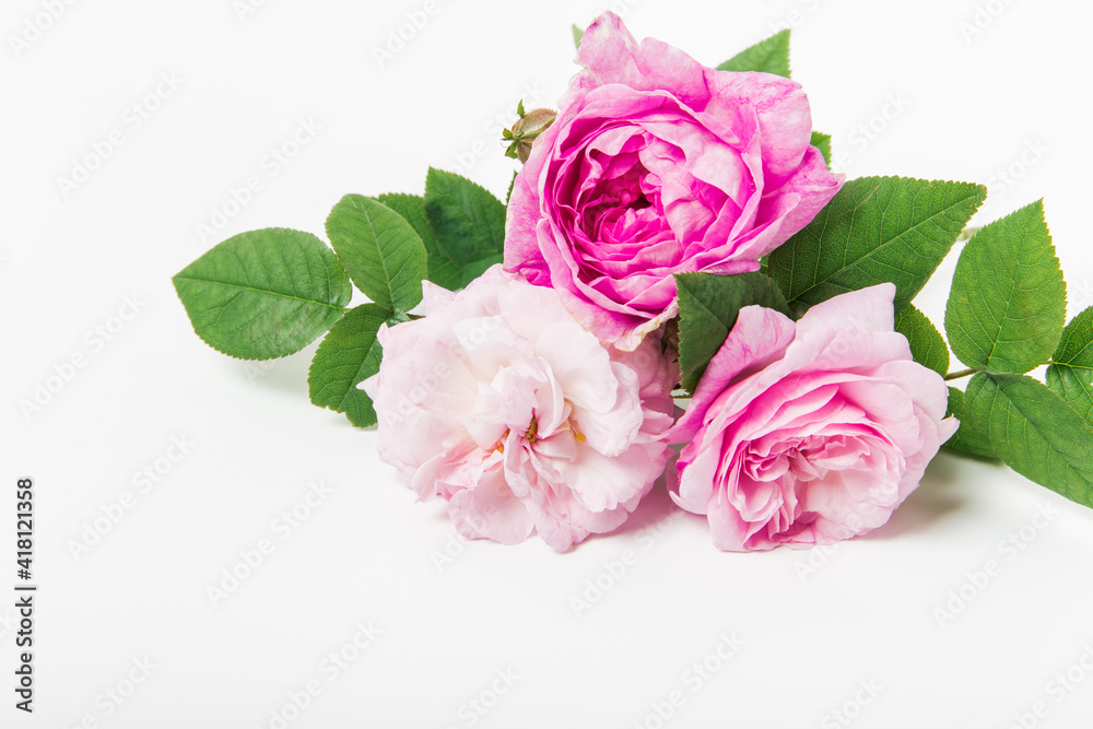 Floral bouquet with pink roses on white background. Flat lay, top view. Flower background. Floral bouquet with pink roses on white background. Flat lay, top view. Flower background.