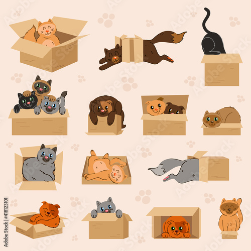 The collection of cute cute car in the paper box in flat vector style. Cute kittens and cats looking out of box