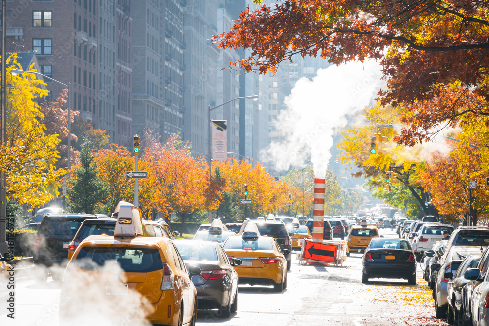 Obraz premium Uptown Manhattan Park Avenue traffic goes through under rising stem among the rows of autumn leaf color trees at New York City NY USA.