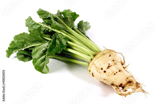 Fresh Vegetables - Sugar Beet with Leaves on white Background Isolated