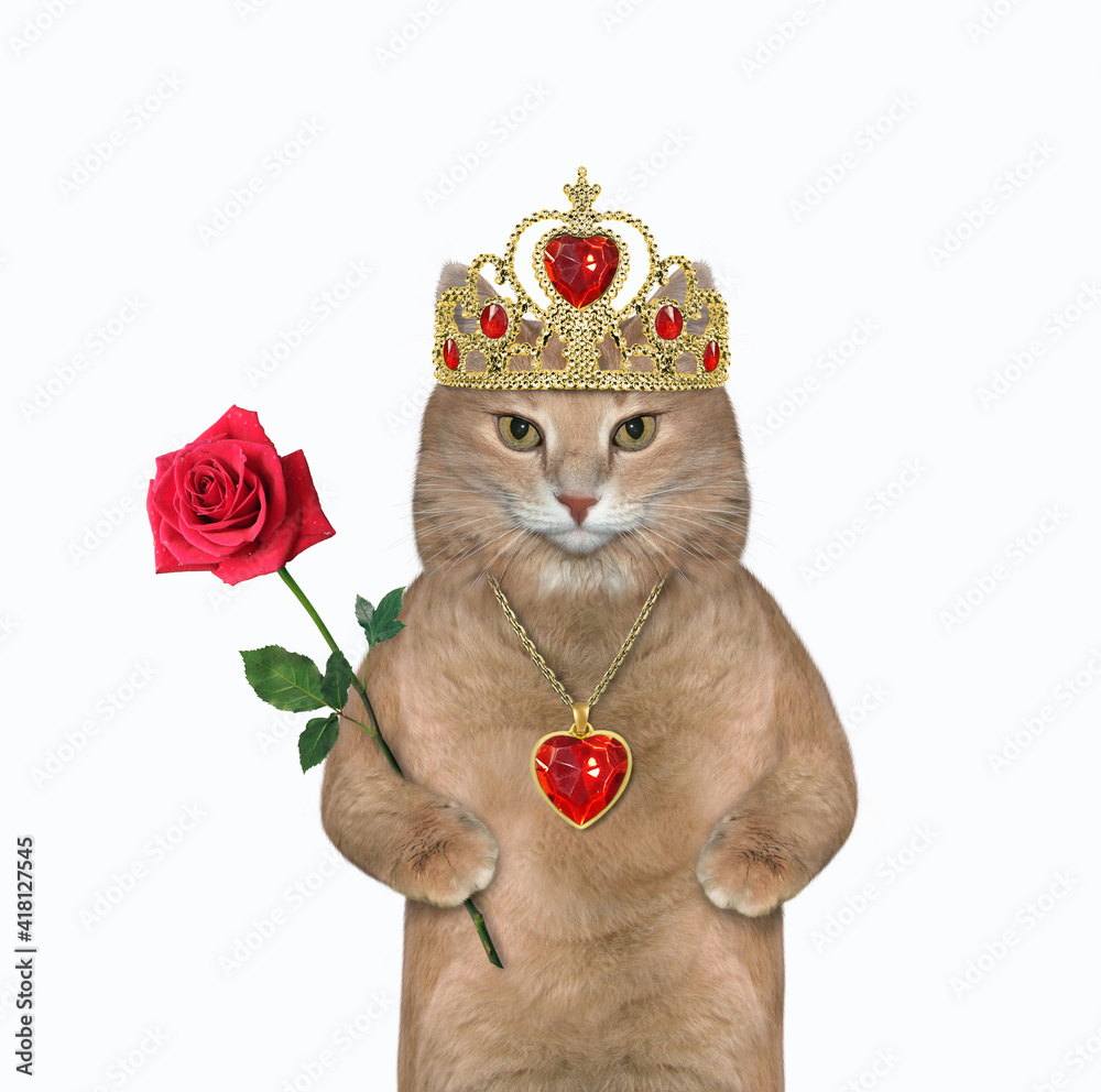 Naklejka premium A beige cat in a gold diadem and a ruby heart shaped pendant holds a red rose. White background. Isolated.