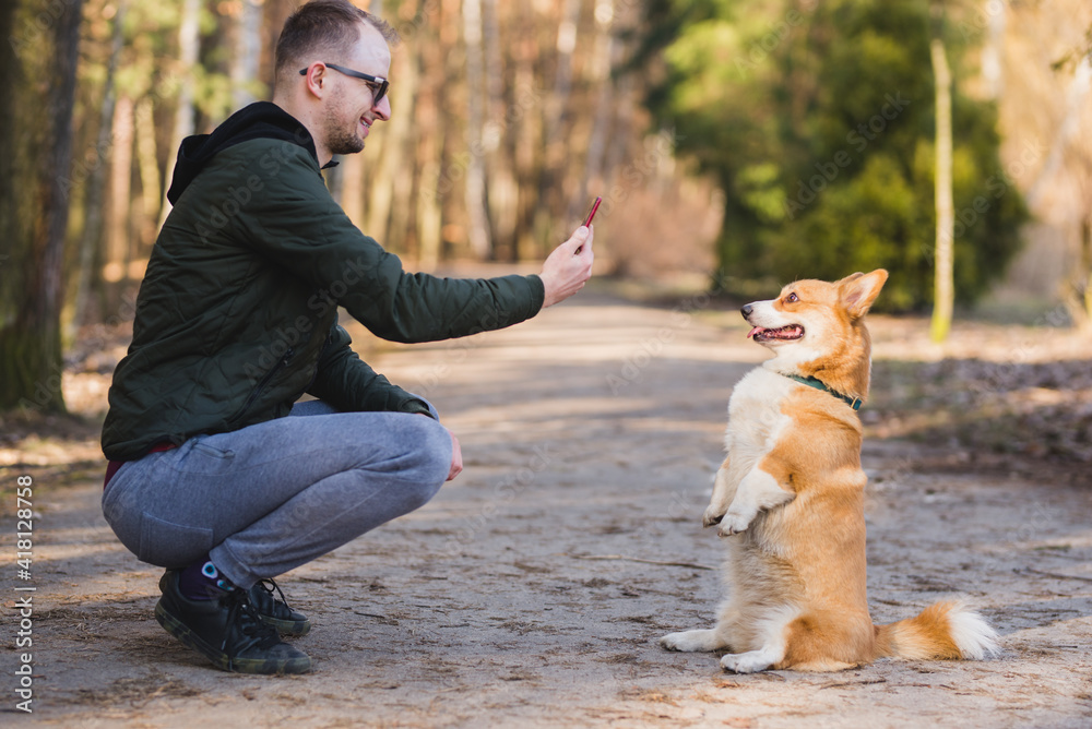a young handsome caucasian male doing a photo of a welsh corgi pembroke dog doing a trick