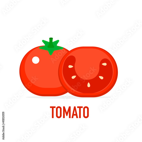 Vector of tomato on white background.