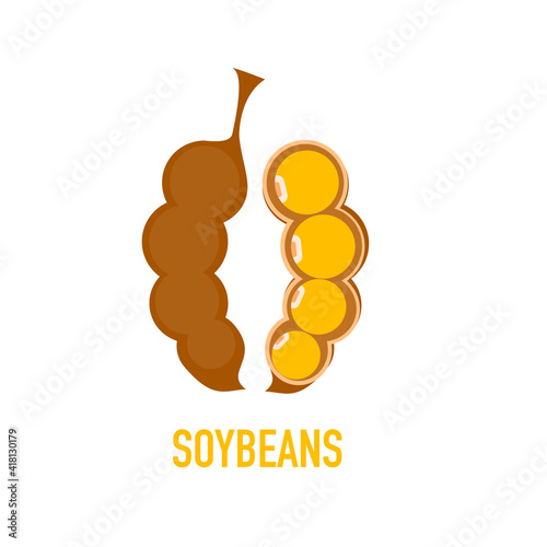 Vector of soybean on white background.