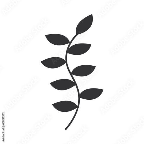 foliage leaves stem