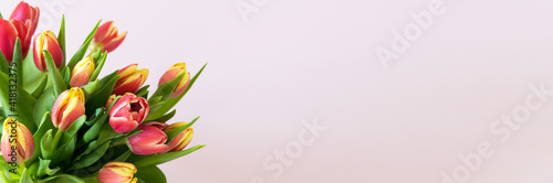 Spring flowers. Banner-a bouquet of pink and yelloy tulips on a pink background. Congratulations on International Women's Day, March 8, birthday, mother's Day. Copy space. Mock up. Soft focus.