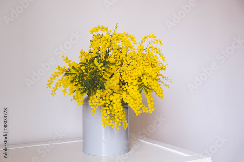 Big bunch of yellow mimosa flowers in full bloom in vase against white background, close up. Spring still life.