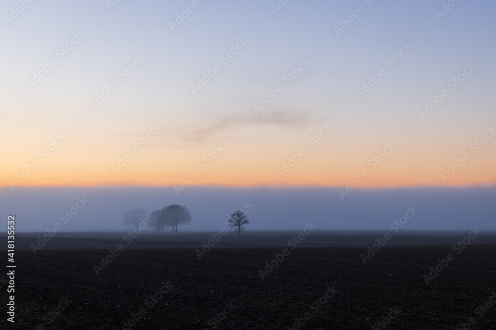 Colorful Sunset in the fog on a empty field with bald trees in early spring, Schleswig-Holstein, Northern Germany