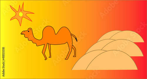 A two humps camel walking over desert under hot summer sun.