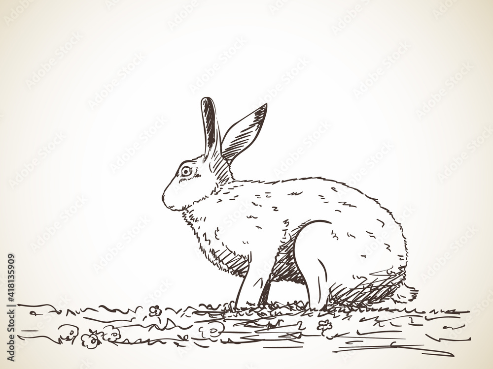 Fototapeta premium Rabbit vector sketch