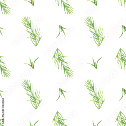 Seamless herbal pattern with watercolor green flavouring rosemary for wrapping paper  decor and textile