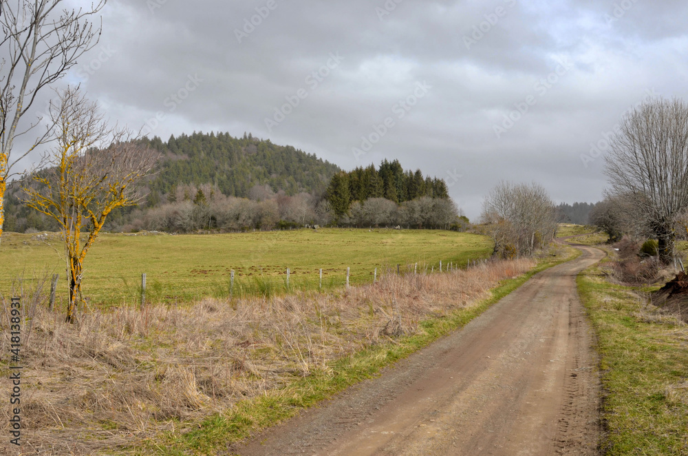 Fototapeta premium Puy de Pourcharet. GR 30. Puy de Dôme, Auvergne. France.